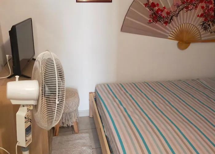 Loft Indipendente Con Giardino A Tor Vergata Apartment