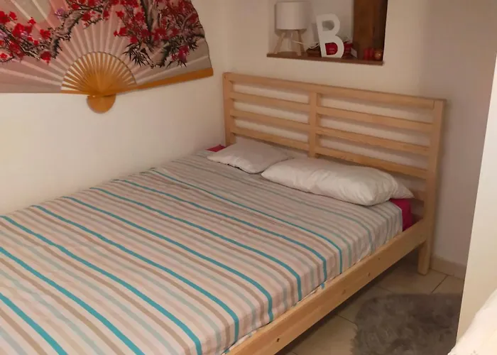 Loft Indipendente Con Giardino A Tor Vergata Apartment *