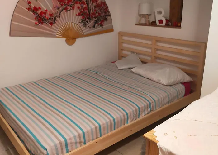 Loft Indipendente Con Giardino A Tor Vergata Apartment *