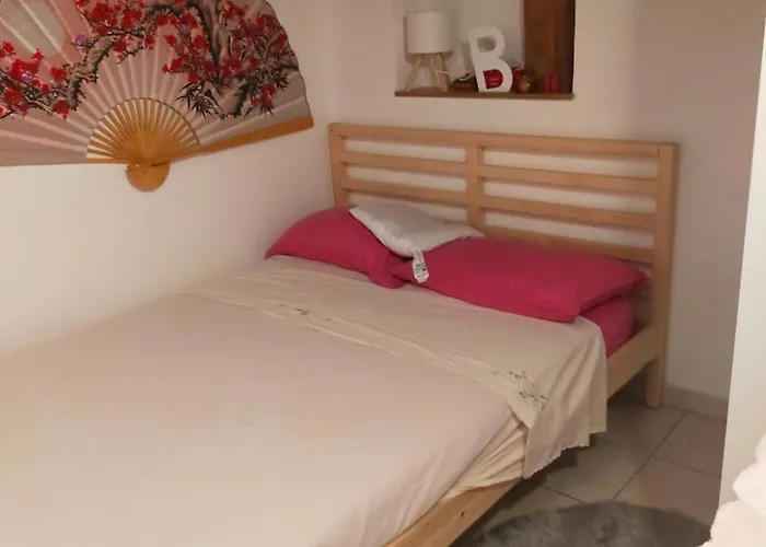 Loft Indipendente Con Giardino A Tor Vergata Apartment *