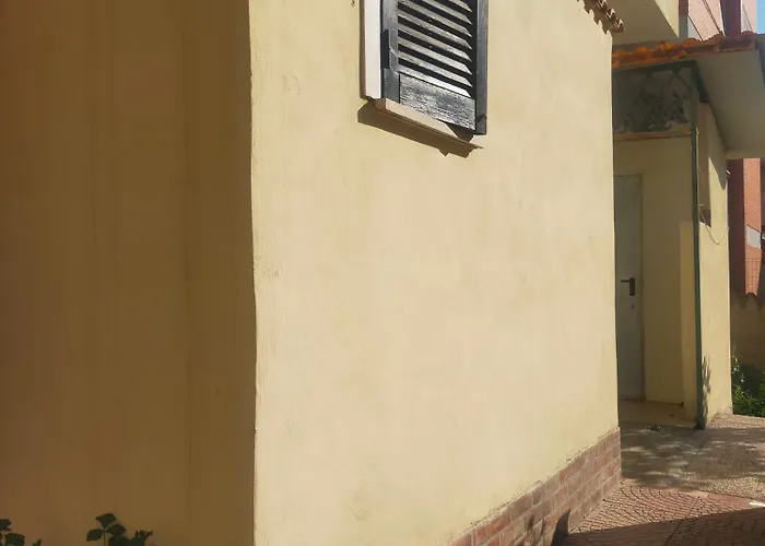 Loft Indipendente Con Giardino A Tor Vergata Apartment *